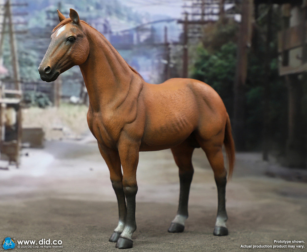 Preventa Figura Caballo de Guerra marrón-rojo (de pie) marca DID E60082 escala 1/6