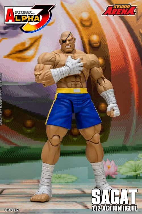 Preventa Figura SAGAT (Storm Arena) - Street Fighter Alpha 3 marca Storm Collectibles SFSA03 escala pequeña 1/12