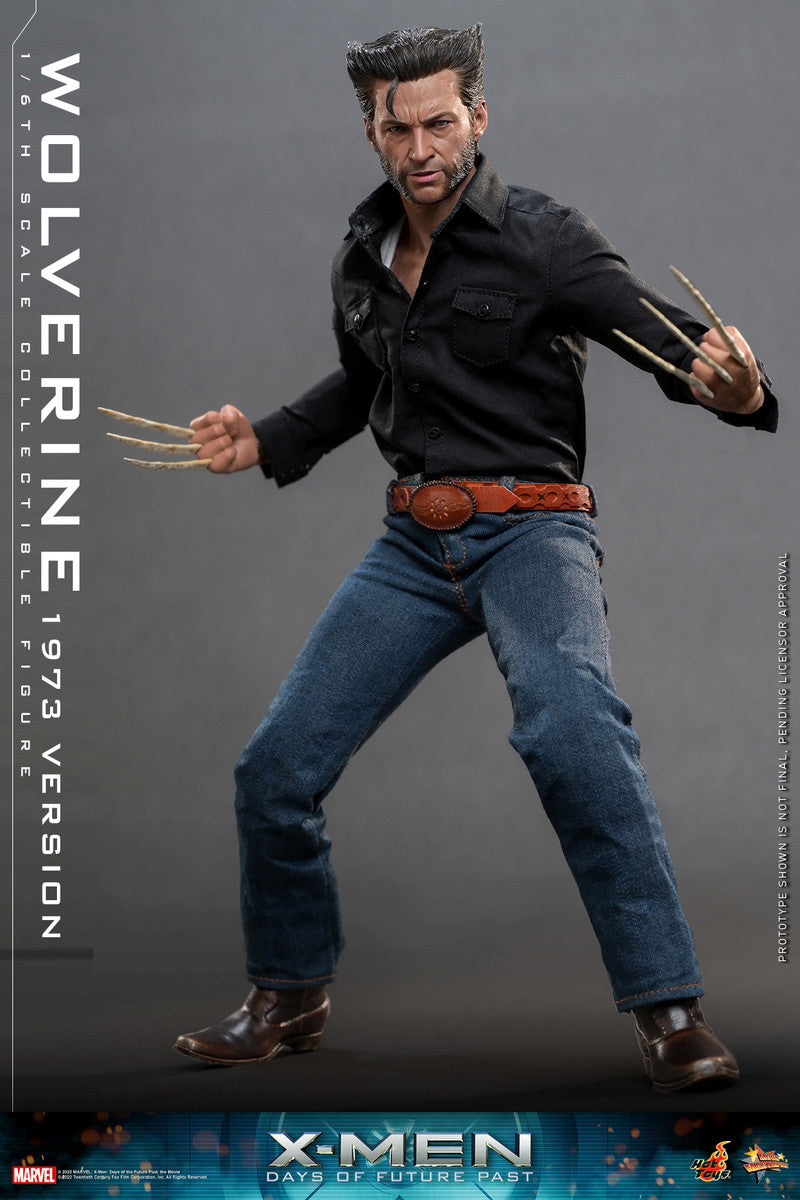 Pedido Figura Wolverine (1973 Version) - X-Men: Days of Future Past marca Hot Toys MMS659 escala 1/6