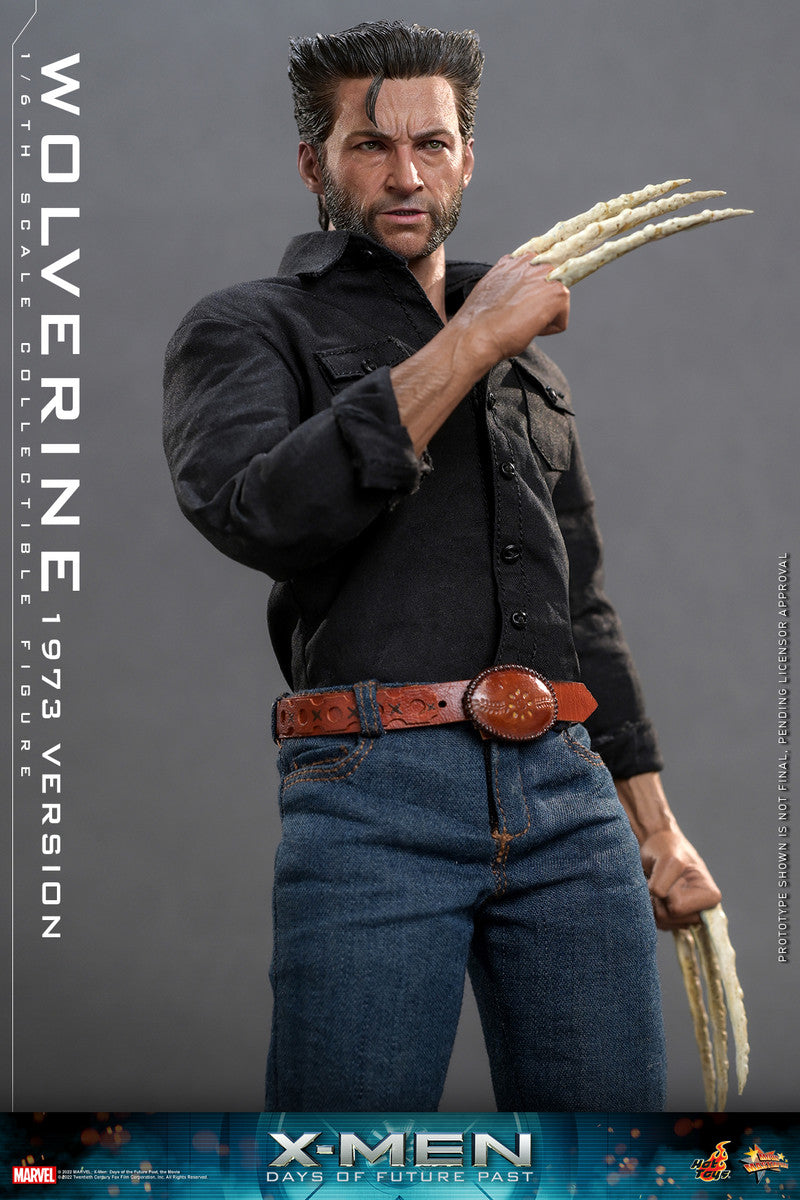 Pedido Figura Wolverine (1973 Version) - X-Men: Days of Future Past marca Hot Toys MMS659 escala 1/6