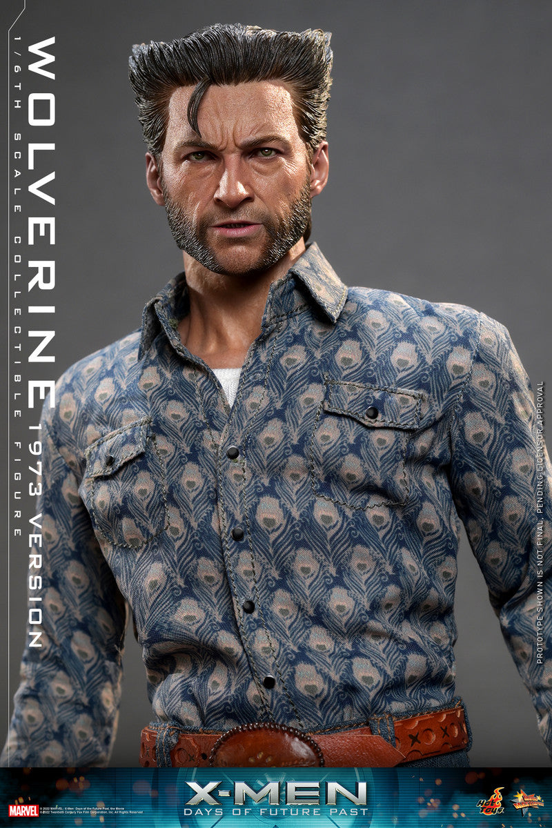 Pedido Figura Wolverine (1973 Version) - X-Men: Days of Future Past marca Hot Toys MMS659 escala 1/6