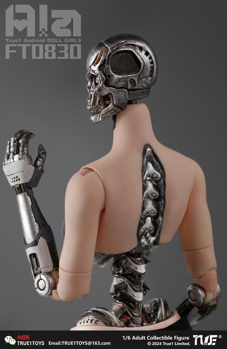Pedido Figura Android Ala marca True1Toys FT0830 escala 1/6