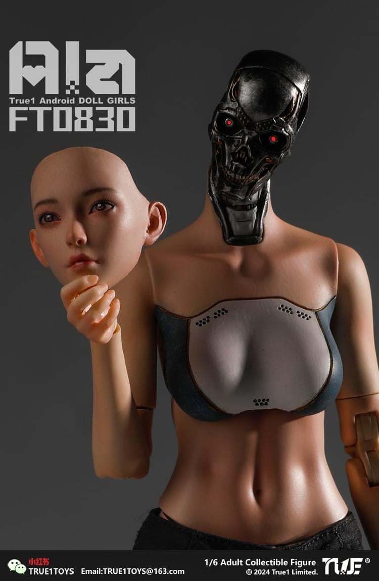 Pedido Figura Android Ala marca True1Toys FT0830 escala 1/6
