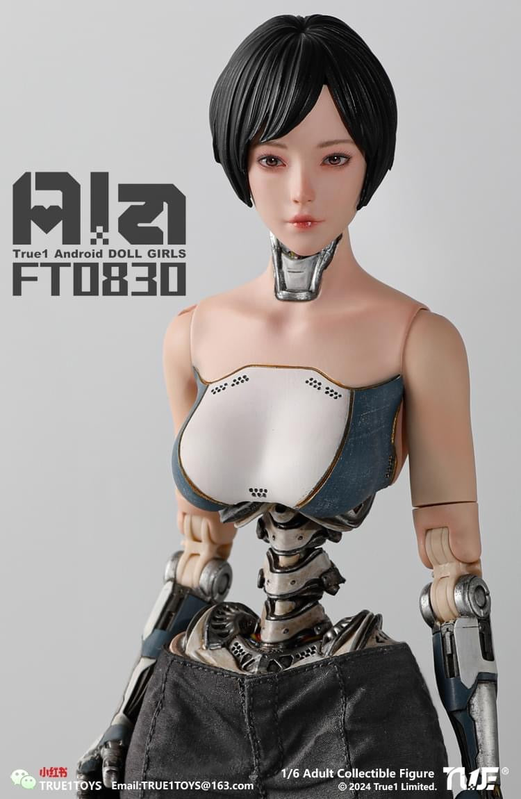 Pedido Figura Android Ala marca True1Toys FT0830 escala 1/6