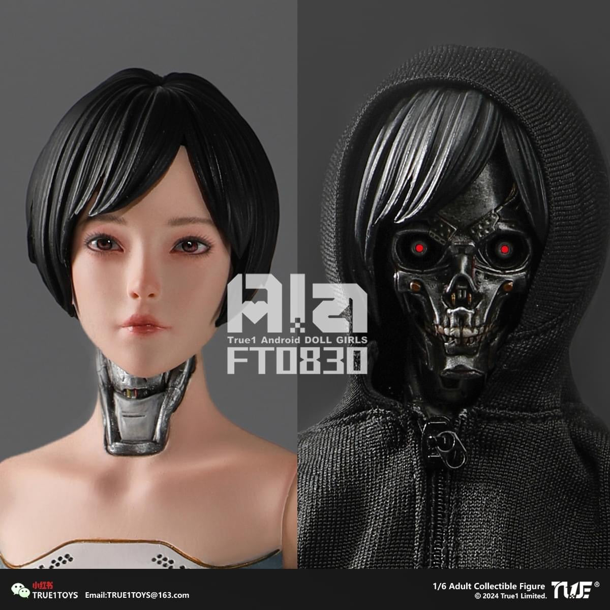 Pedido Figura Android Ala marca True1Toys FT0830 escala 1/6