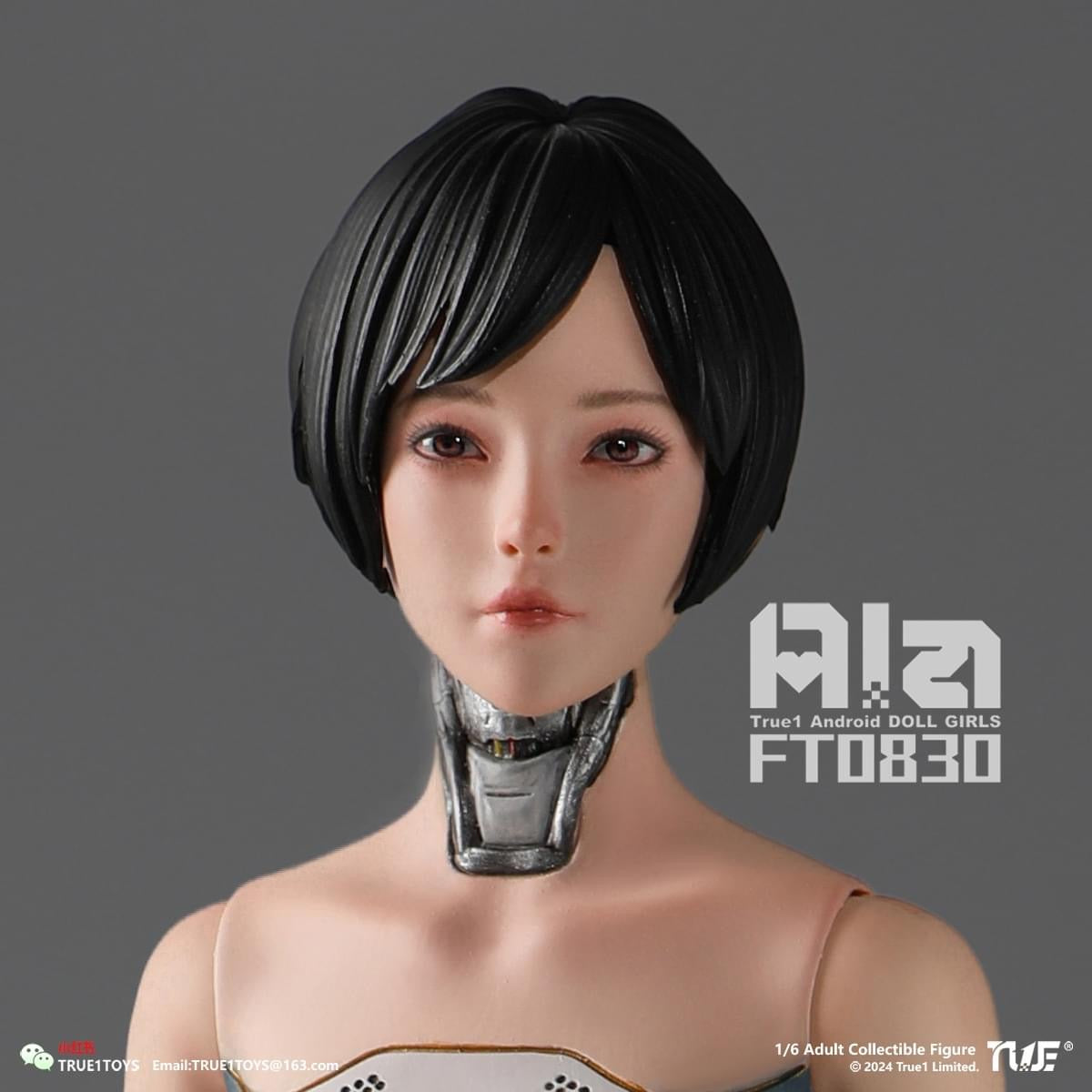 Pedido Figura Android Ala marca True1Toys FT0830 escala 1/6