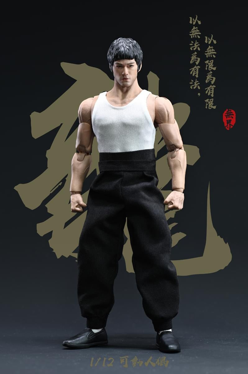 Pedido Figura Kongfu King marca Nwtoys escala pequeña 1/12
