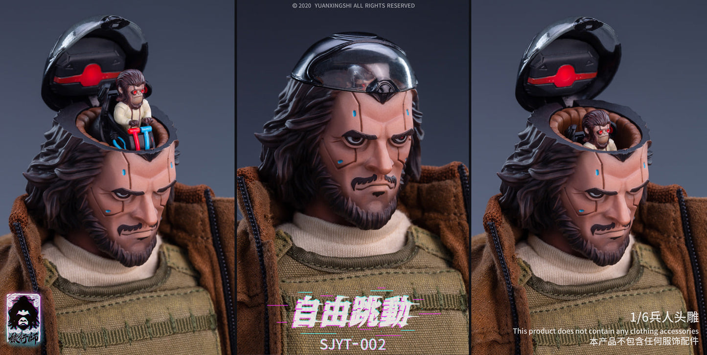 Pedido Cabeza Libertador marca Yuanxingshi SJYT-002 escala 1/6