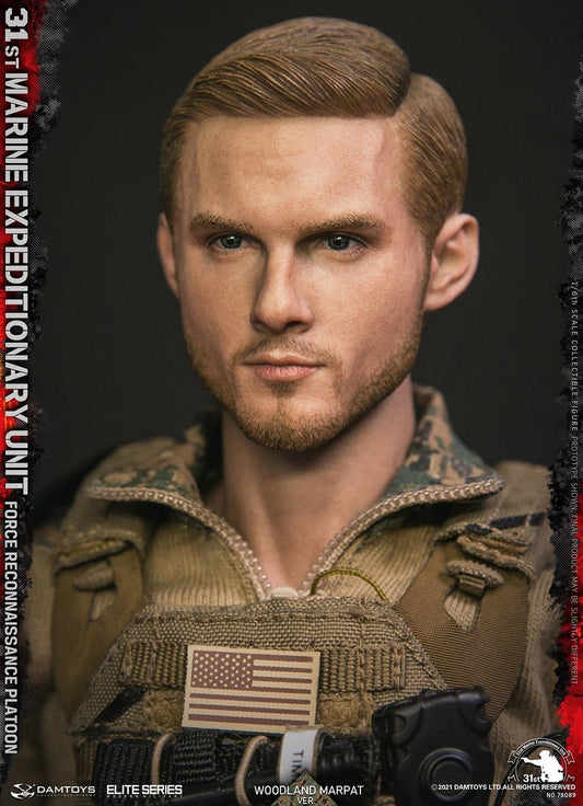 Pedido Figura 31st Marine Expeditionary Unit Force Reconnaissance Platoon - Woodland MARPAT marca Damtoys 78089 escala 1/6