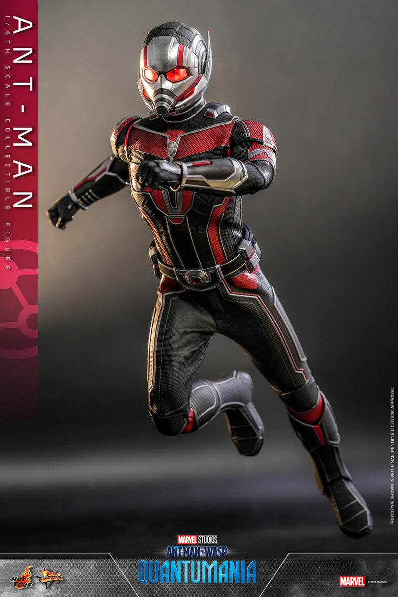 Preventa Figura Ant-Man - Ant-Man and the Wasp: Quantumania marca Hot Toys MMS690 escala 1/6