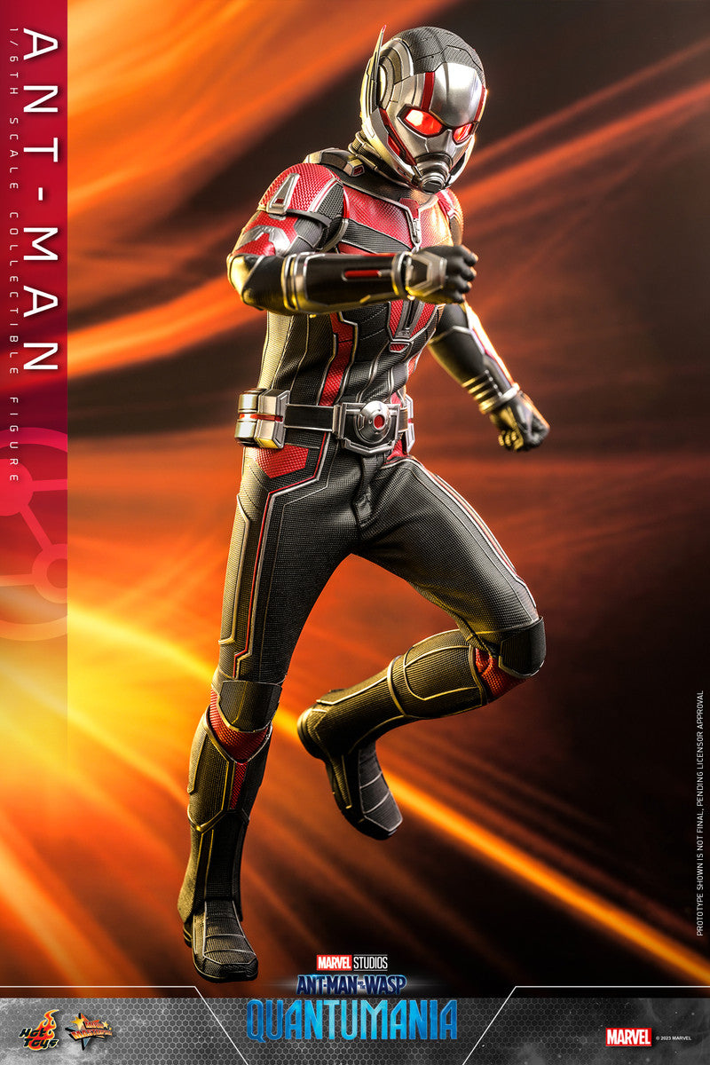 Preventa Figura Ant-Man - Ant-Man and the Wasp: Quantumania marca Hot Toys MMS690 escala 1/6