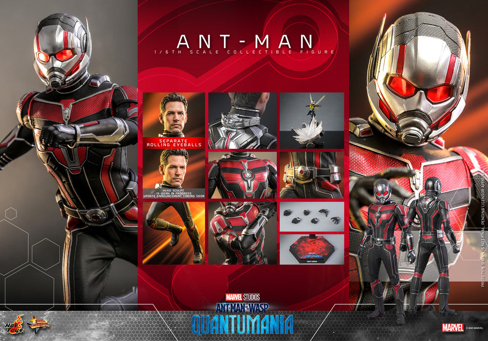 Preventa Figura Ant-Man - Ant-Man and the Wasp: Quantumania marca Hot Toys MMS690 escala 1/6