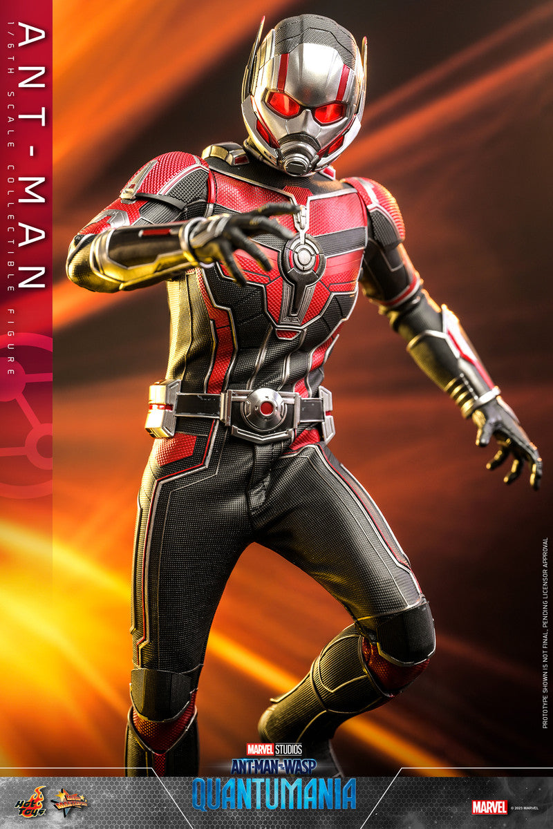 Preventa Figura Ant-Man - Ant-Man and the Wasp: Quantumania marca Hot Toys MMS690 escala 1/6