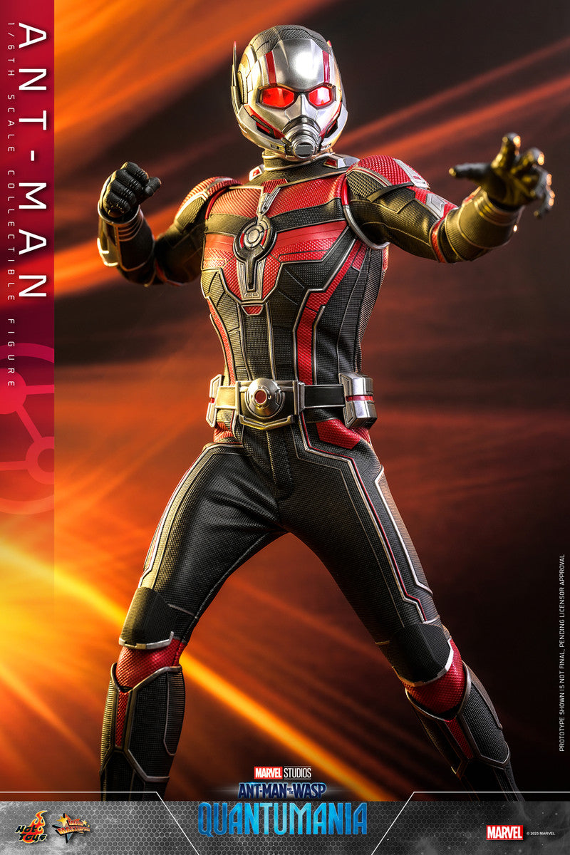 Preventa Figura Ant-Man - Ant-Man and the Wasp: Quantumania marca Hot Toys MMS690 escala 1/6