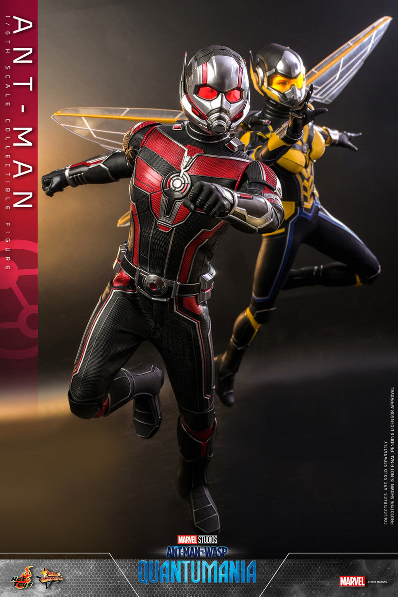 Preventa Figura Ant-Man - Ant-Man and the Wasp: Quantumania marca Hot Toys MMS690 escala 1/6