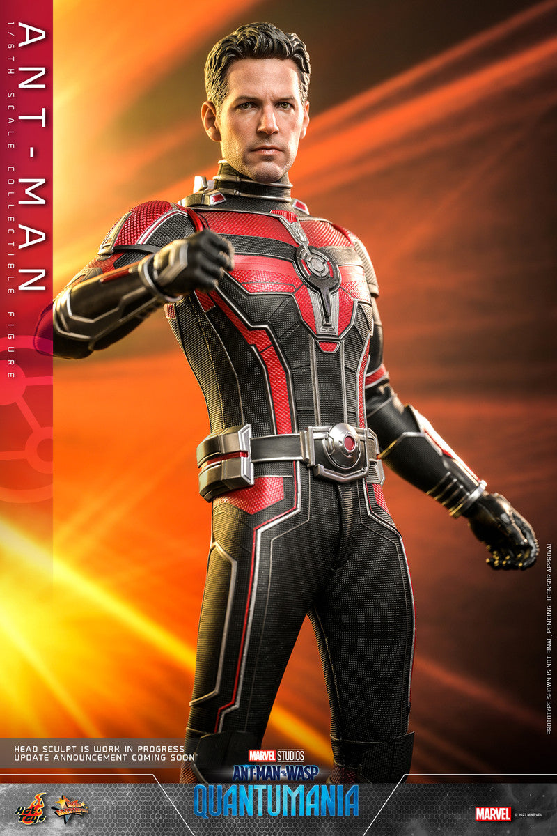 Preventa Figura Ant-Man - Ant-Man and the Wasp: Quantumania marca Hot Toys MMS690 escala 1/6