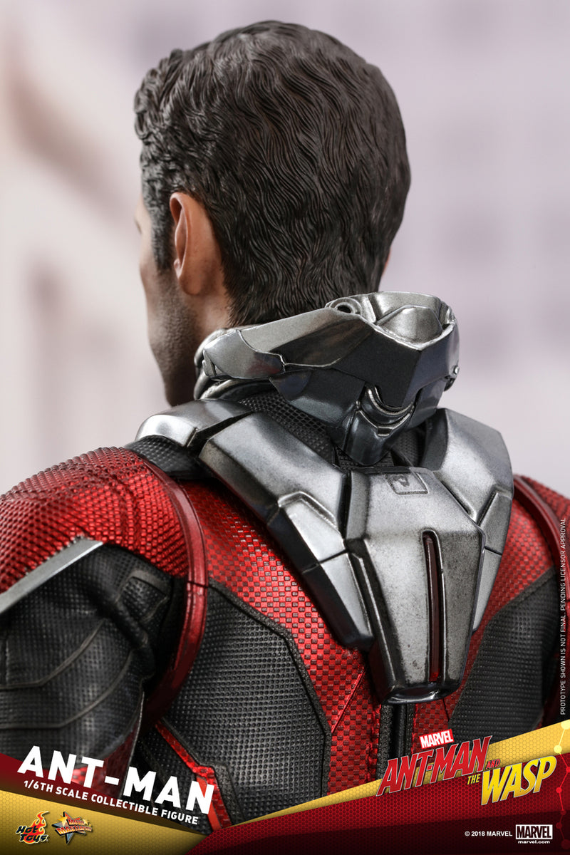 Pedido Figura Ant-Man - Ant-Man and the Wasp marca Hot Toys MMS497 escala 1/6