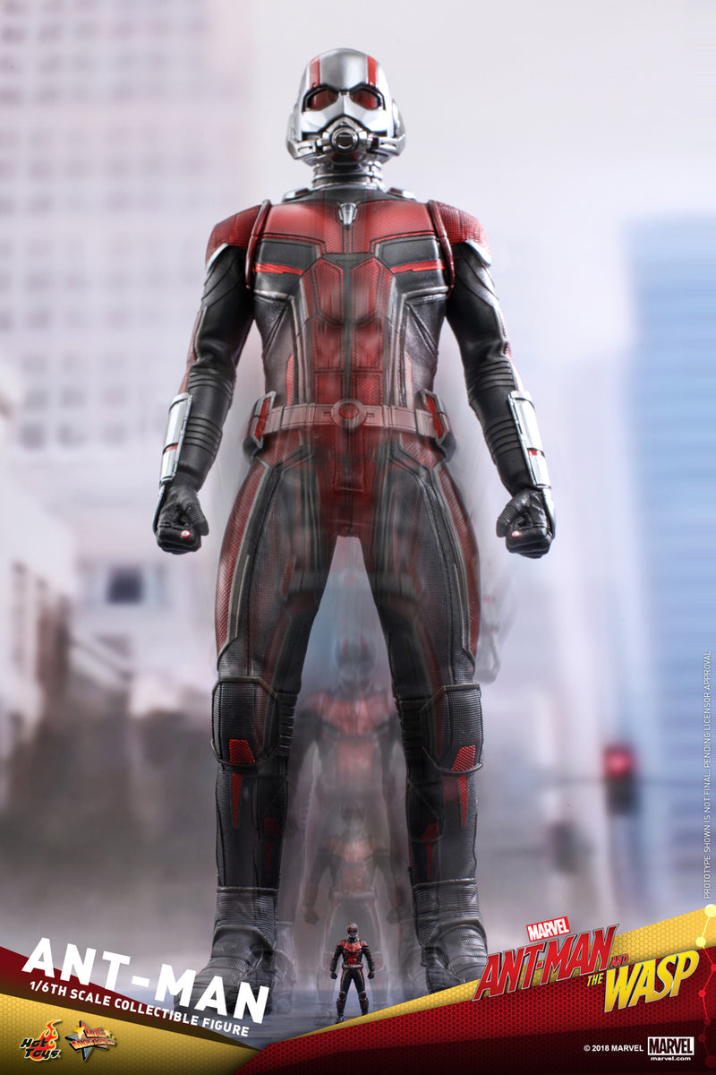 Pedido Figura Ant-Man - Ant-Man and the Wasp marca Hot Toys MMS497 escala 1/6