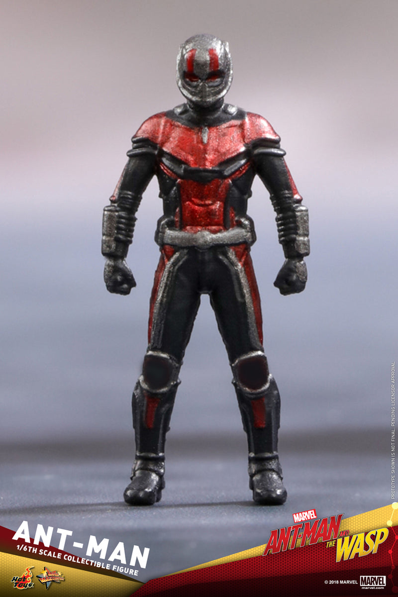 Pedido Figura Ant-Man - Ant-Man and the Wasp marca Hot Toys MMS497 escala 1/6
