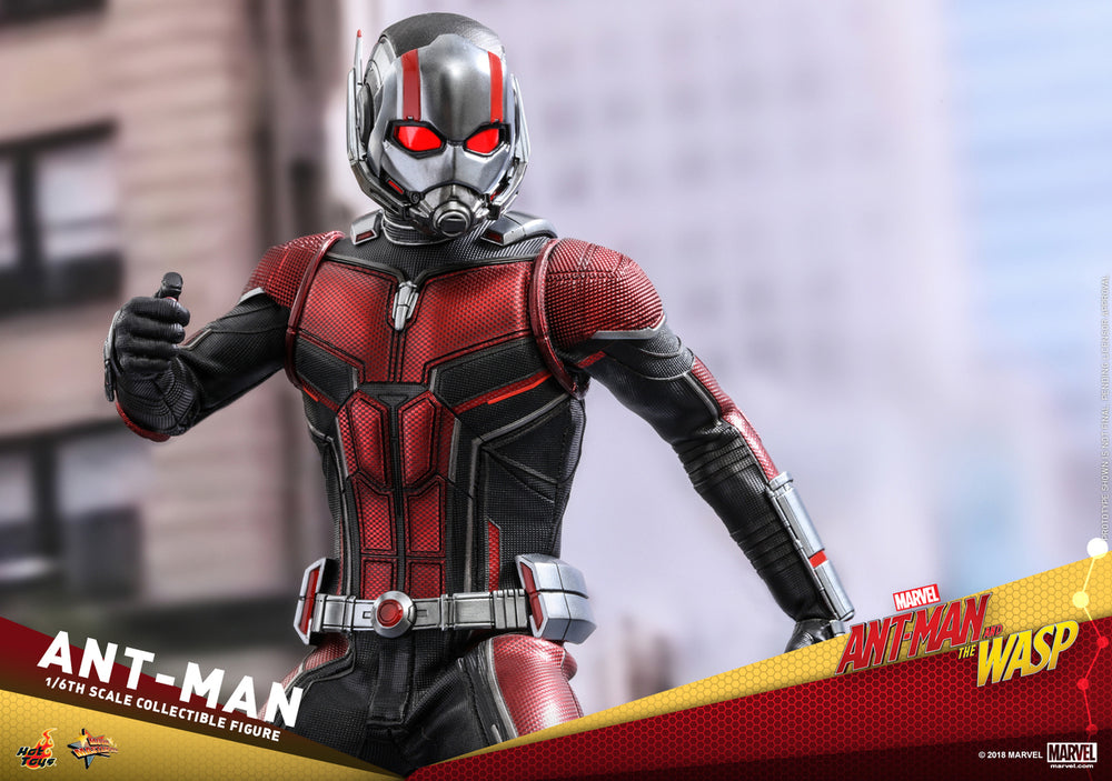 Pedido Figura Ant-Man - Ant-Man and the Wasp marca Hot Toys MMS497 escala 1/6
