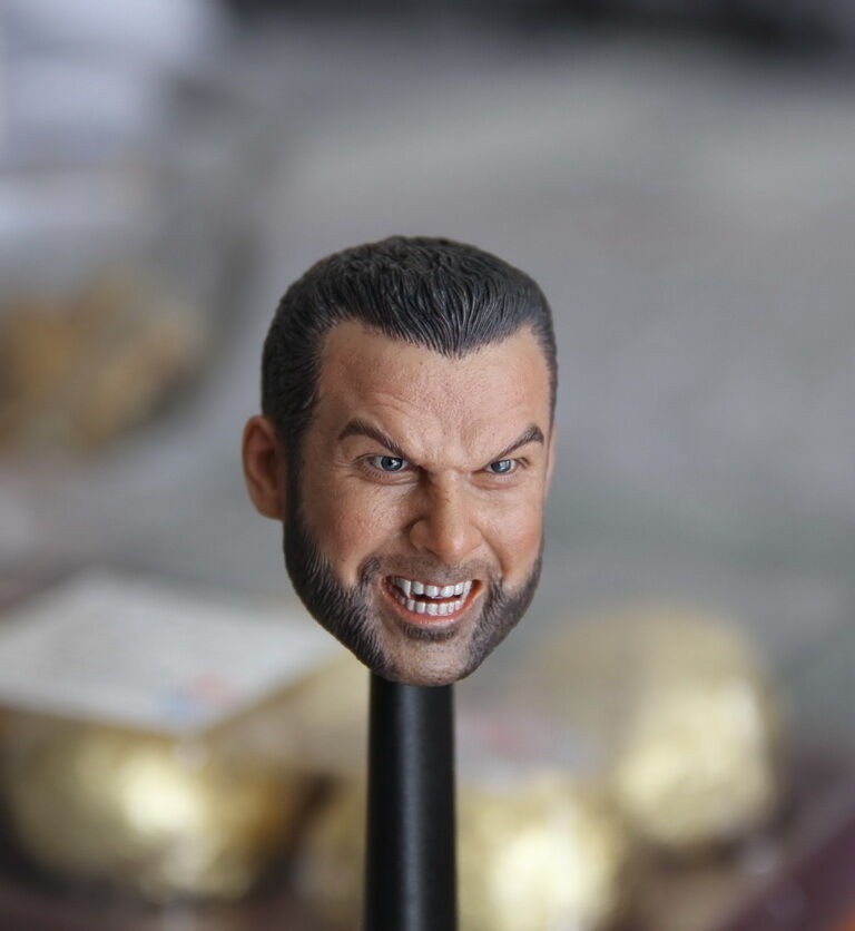 Pedido Cabeza Wolfman brother marca Custom escala 1/6