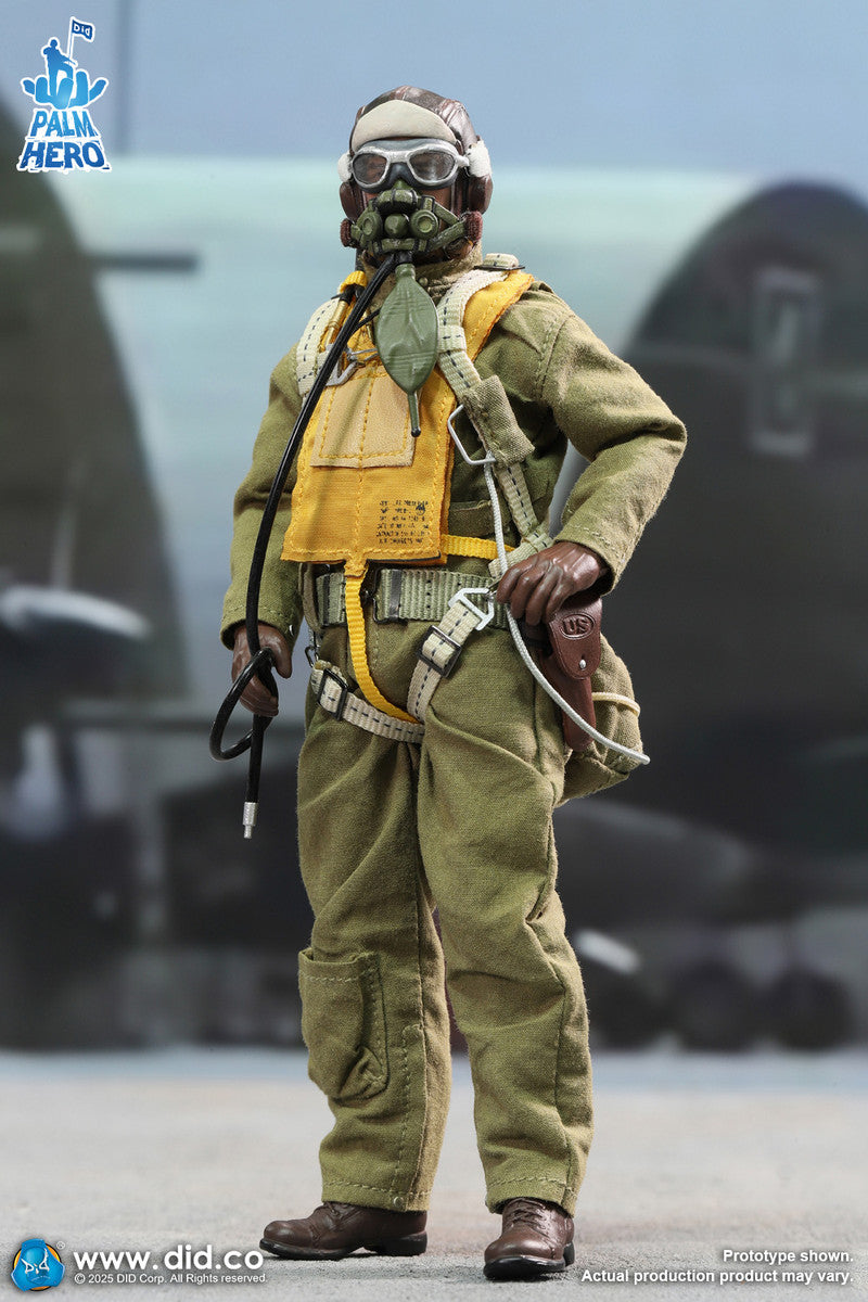Pedido Figura Captain Rafe - WWII U.S. Army Air Force Pilot marca DID XA80032 escala 1/12