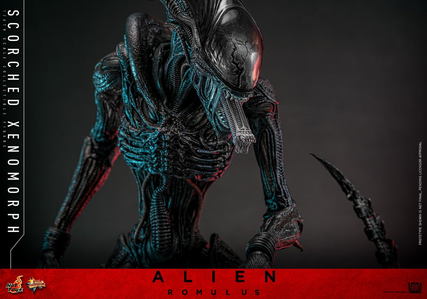 Preventa Figura Scorched Xenomorph - Alien: Romulus marca Hot Toys MMS784 escala 1/6