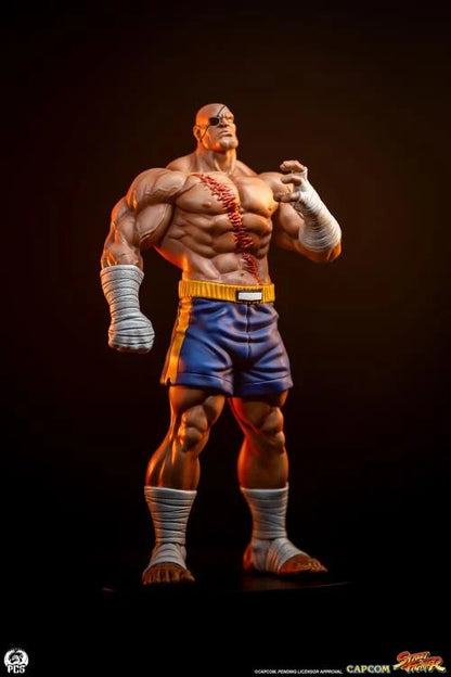 Preventa Set Estatuas Sagat y Juli - Street Jam - Street Fighter marca PCS Collectibles escala 1/10