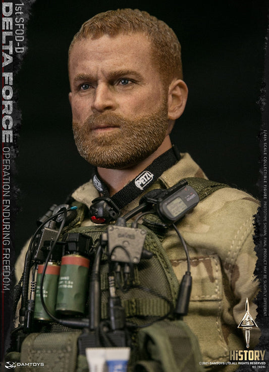Pedido Figura 1st SFOD-D DELTA FORCE - Operation Enduring Freedom marca Damtoys 78091 escala 1/6