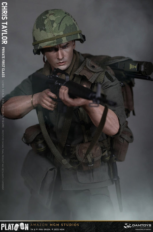 Preventa Figura Private Chris Taylor - PLATOON (1986) marca Damtoys DMS046 escala 1/6