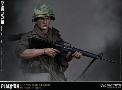 Preventa Figura Private Chris Taylor - PLATOON (1986) marca Damtoys DMS046 escala 1/6