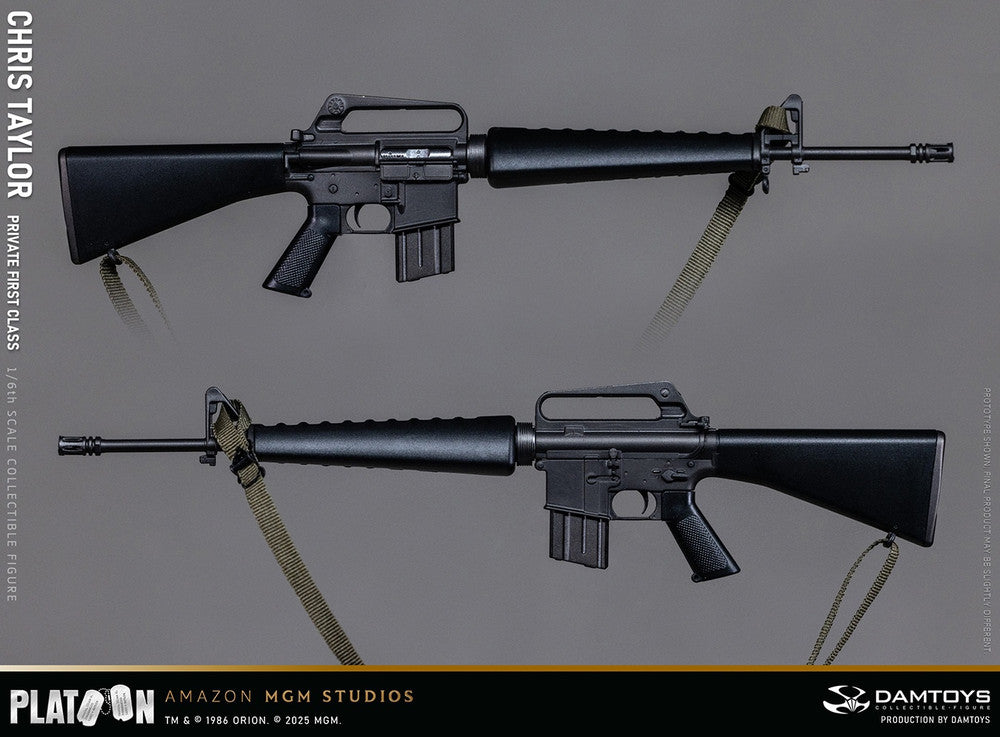 Preventa Figura Private Chris Taylor - PLATOON (1986) marca Damtoys DMS046 escala 1/6