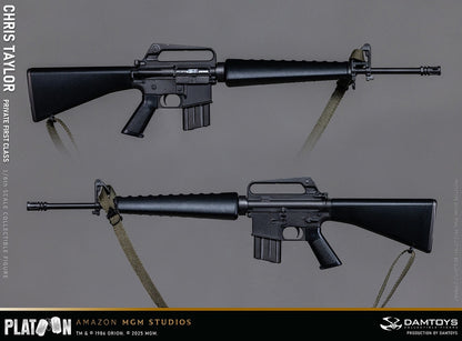 Preventa Figura Private Chris Taylor - PLATOON (1986) marca Damtoys DMS046 escala 1/6