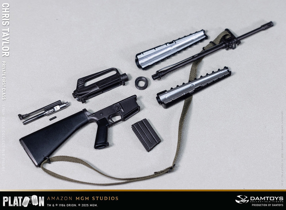 Preventa Figura Private Chris Taylor - PLATOON (1986) marca Damtoys DMS046 escala 1/6