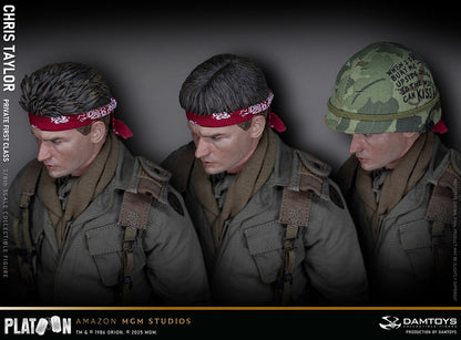 Preventa Figura Private Chris Taylor - PLATOON (1986) marca Damtoys DMS046 escala 1/6