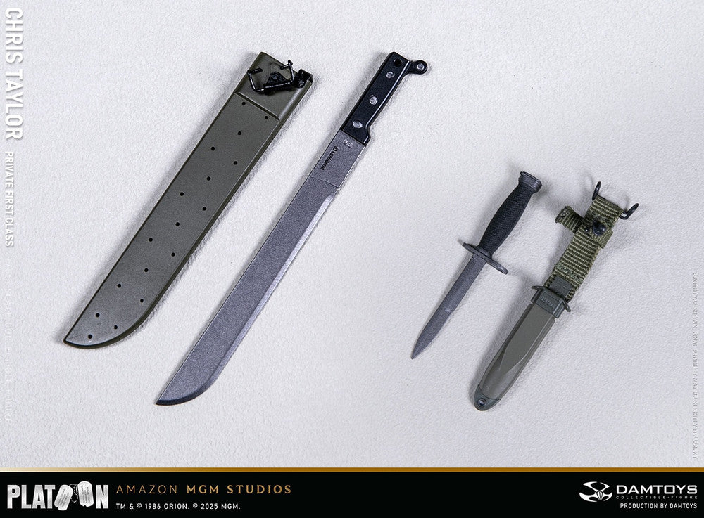 Preventa Figura Private Chris Taylor - PLATOON (1986) marca Damtoys DMS046 escala 1/6