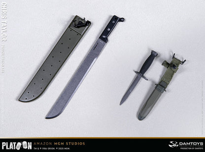 Preventa Figura Private Chris Taylor - PLATOON (1986) marca Damtoys DMS046 escala 1/6