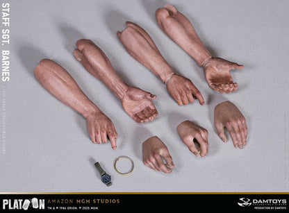 Preventa Figura Staff Sergeant Barnes - PLATOON (1986) marca Damtoys DMS045 escala 1/6