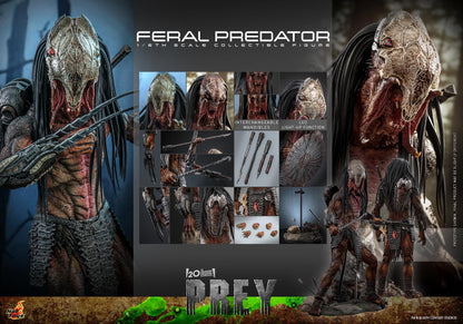 Preventa Figura Feral Predator - Prey marca Hot Toys TMS114 escala 1/6