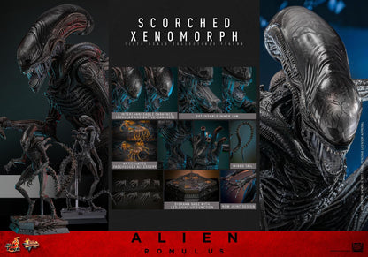 Preventa Figura Scorched Xenomorph - Alien: Romulus marca Hot Toys MMS784 escala 1/6