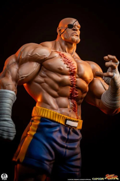 Preventa Set Estatuas Sagat y Juli - Street Jam - Street Fighter marca PCS Collectibles escala 1/10