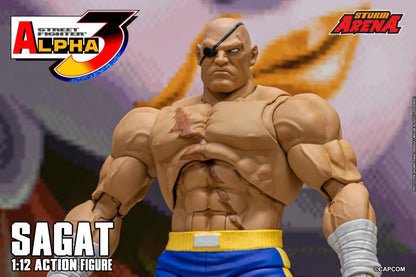 Preventa Figura SAGAT (Storm Arena) - Street Fighter Alpha 3 marca Storm Collectibles SFSA03 escala pequeña 1/12