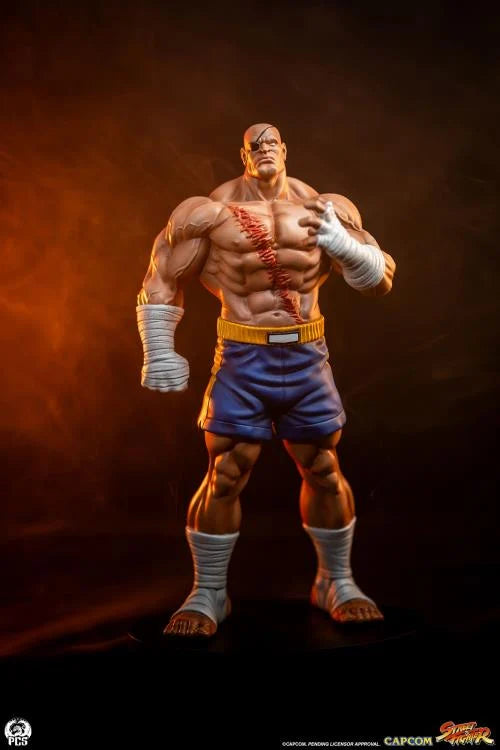 Preventa Set Estatuas Sagat y Juli - Street Jam - Street Fighter marca PCS Collectibles escala 1/10