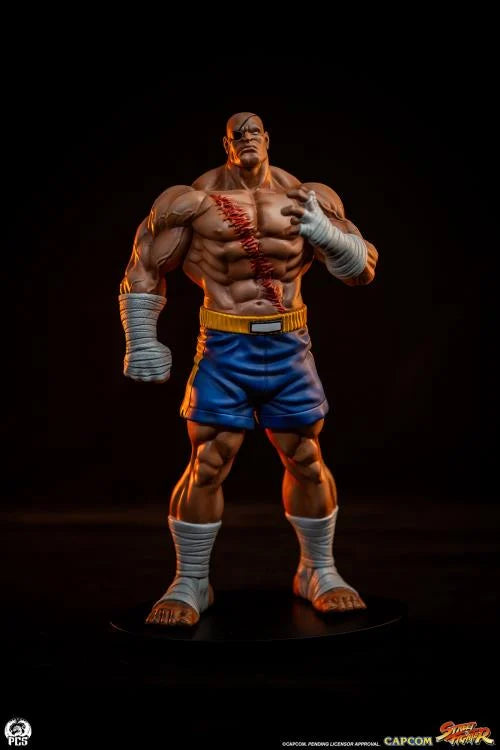 Preventa Set Estatuas Sagat y Juli - Street Jam - Street Fighter marca PCS Collectibles escala 1/10