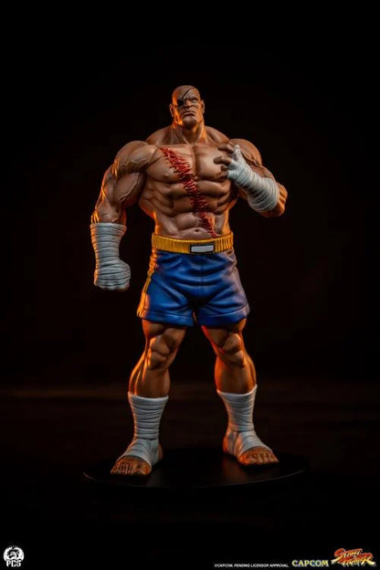 Preventa Set Estatuas Sagat y Juli - Street Jam - Street Fighter marca PCS Collectibles escala 1/10