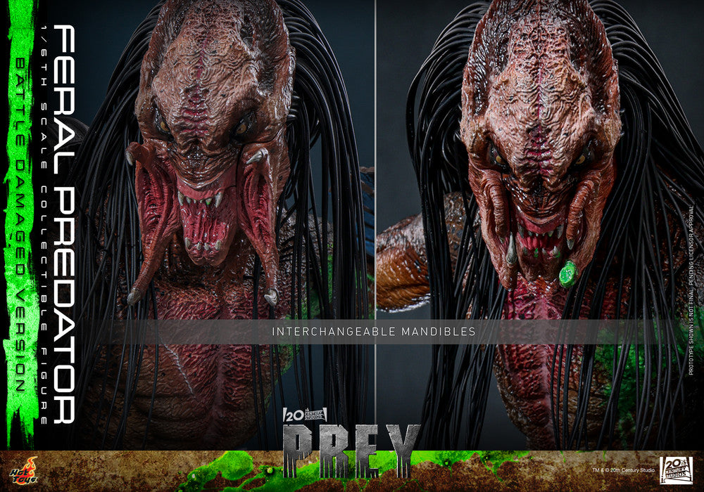 Preventa Figura Feral Predator (Battle Damaged Version) - Prey marca Hot Toys TMS173 escala 1/6