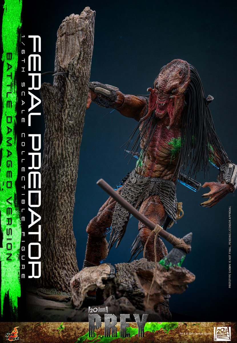 Preventa Figura Feral Predator (Battle Damaged Version) - Prey marca Hot Toys TMS173 escala 1/6