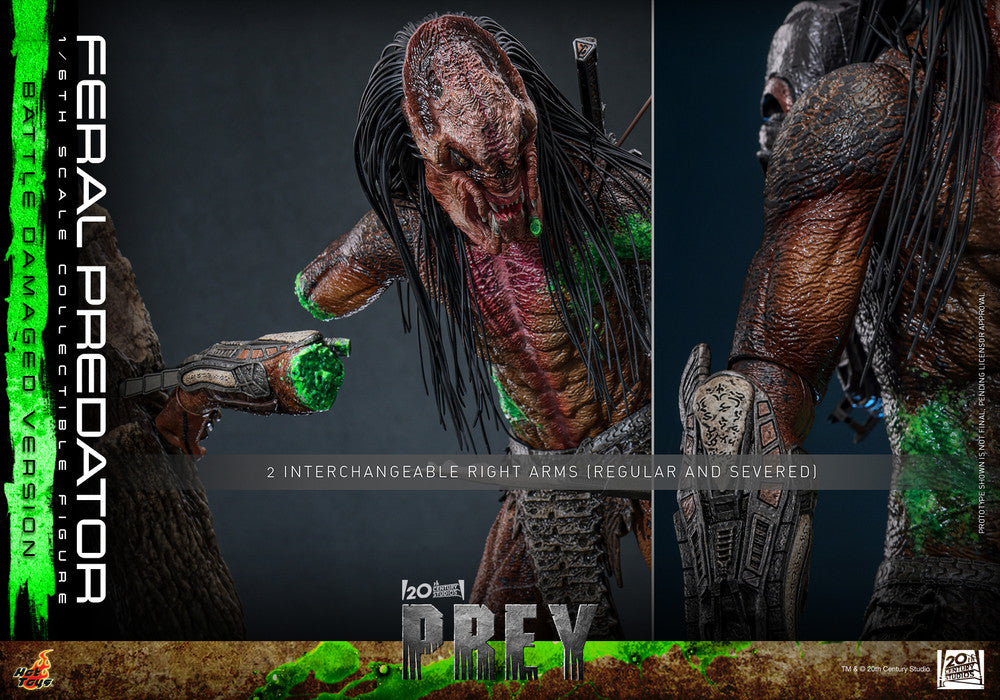 Preventa Figura Feral Predator (Battle Damaged Version) - Prey marca Hot Toys TMS173 escala 1/6