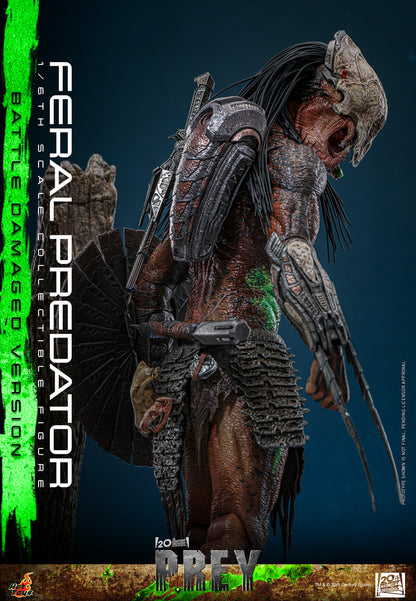 Preventa Figura Feral Predator (Battle Damaged Version) - Prey marca Hot Toys TMS173 escala 1/6