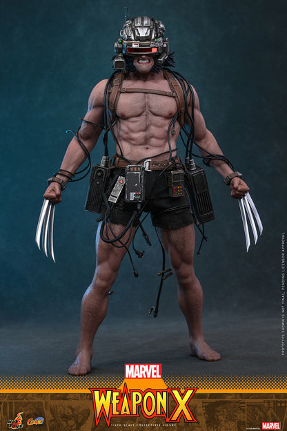 Preventa Figura LOGAN - Weapon X - Marvel Comics marca Hot Toys CMS034 escala 1/6